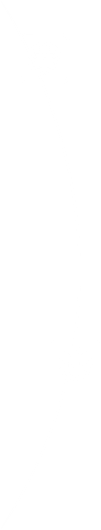 orbita derecha 2