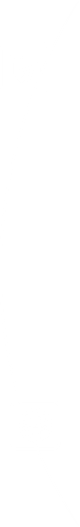 orbita izquiera 2